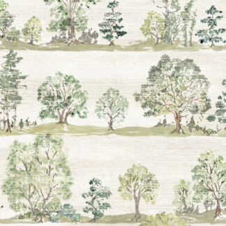 Woodland Walk 01