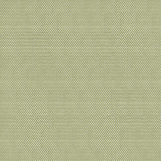 Leafy Grove 02 Peashoot