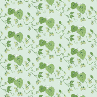 Strawberry Vine 02
