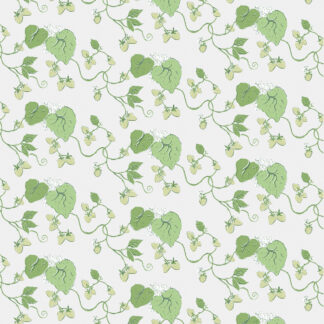 Strawberry Vine 02