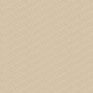 Tortoise Shell 03